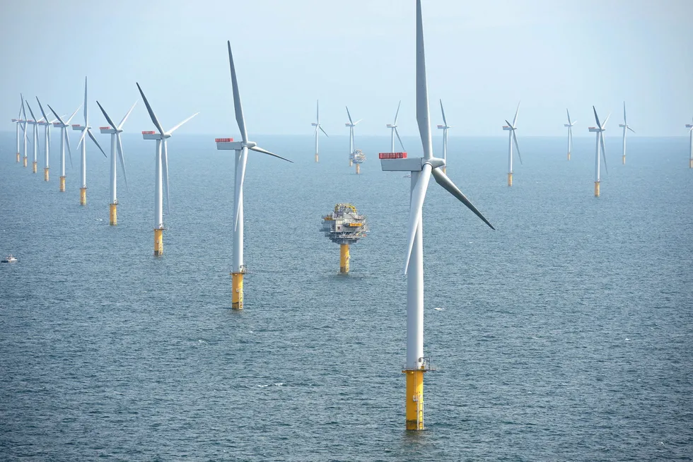 The UK is currently set to waste enough wind energy to power more than 5 million households by the end of the decade, says the report.