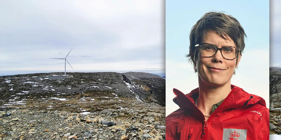 Anne Johanne Kråkenes, seksjonssjef for miljøtilsynet i NVE, mener Guleslettenes fugleforskning er viktig for å kunne bygge vindkraftverk med minst mulig miljøskader i fremtiden.