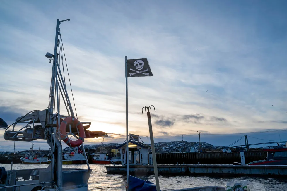 Mange fiskere har samkjørt en aksjon hvor de heiser piratflagget på fiskebåtene sine, som protest mot det de mener er en stempling av hele næringen som kriminell, skriver Anne Rokkan.