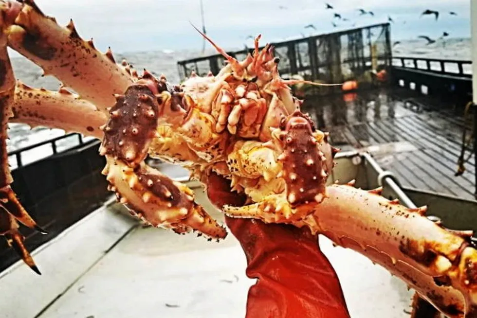 Alaska's iconic Bristol Bay red king crab fishery has been closed for two years.