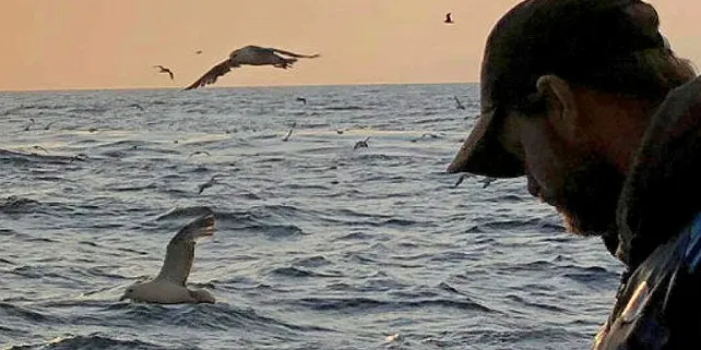 To båter kartlegger torskeforekomstene ved Jan Mayen. Her fra den første turen til «Nesbakk» tidligere denne måneden.