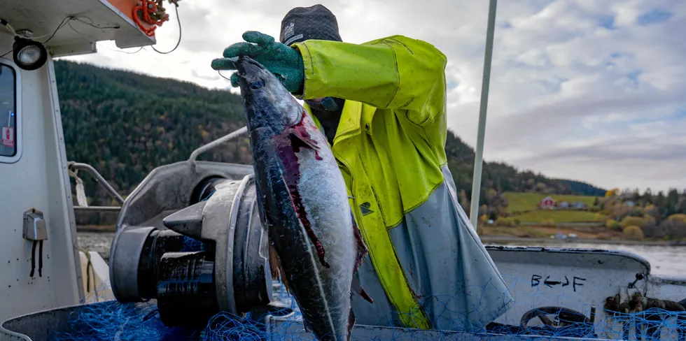 Knapt noen norsk næring har vokst mer enn sjømat de siste 15 årene.