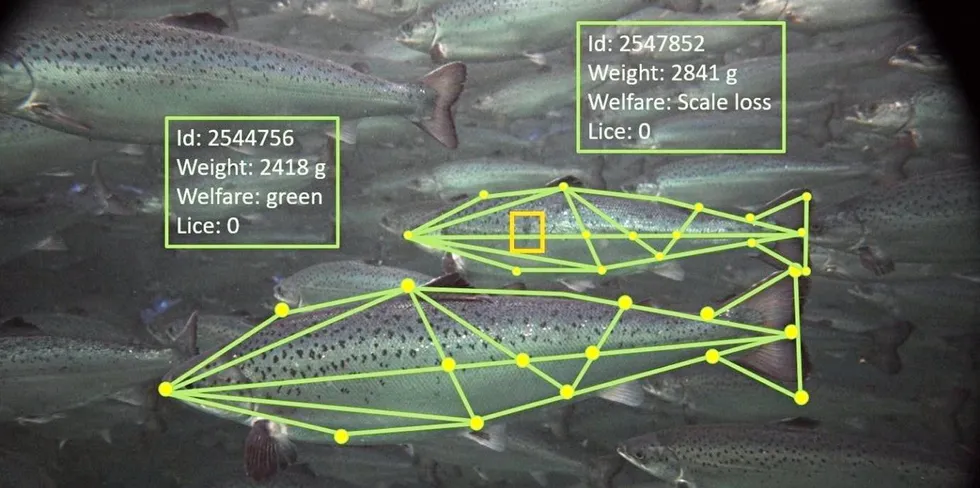 Mye kunnskap kan fanges opp om fisken i merden ved hjelp av teknologi.