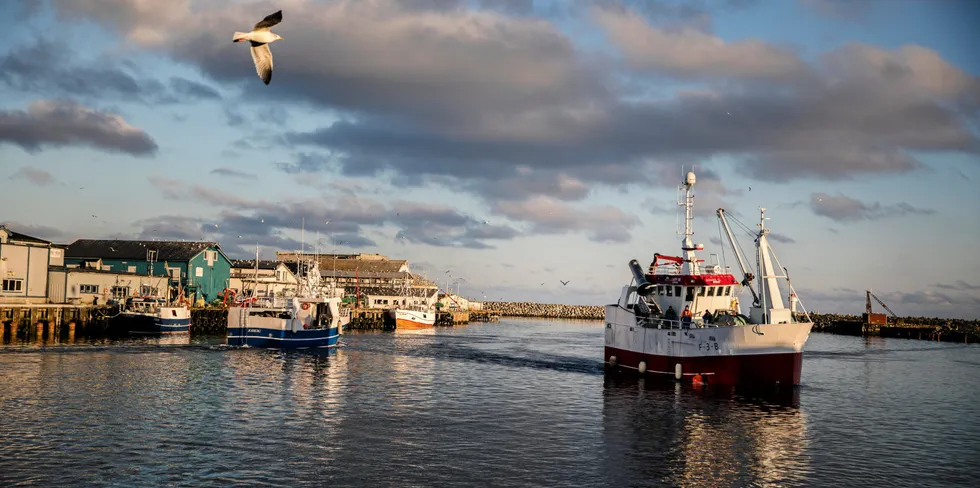 FAST FORDELING: Det er besluttet å låse trålstigen til en fast fordeling mellom trål og konvensjonell fiskeflåte.