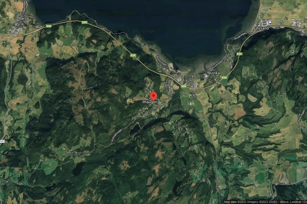 Området rundt 5029/3/104, Skaun, Trøndelag