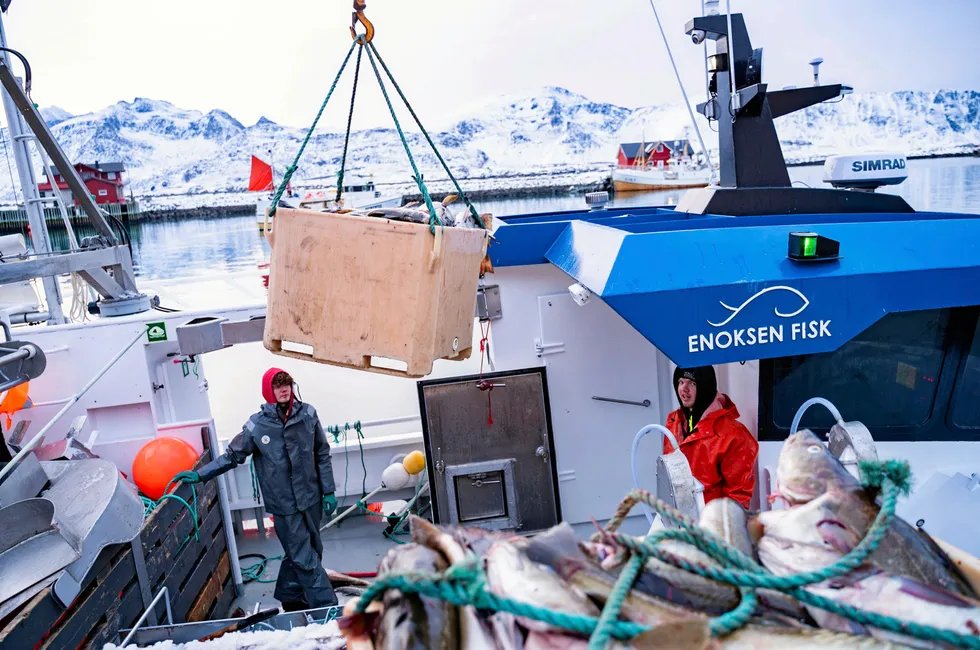 Simen Enoksen Ohr er på lofotfiske med 8-metringen «Solveig». Nå innføres den nye ID-kvoteordningen, men myndighetene kommer ikke med bemanningskrav på de nye ID-båtene.