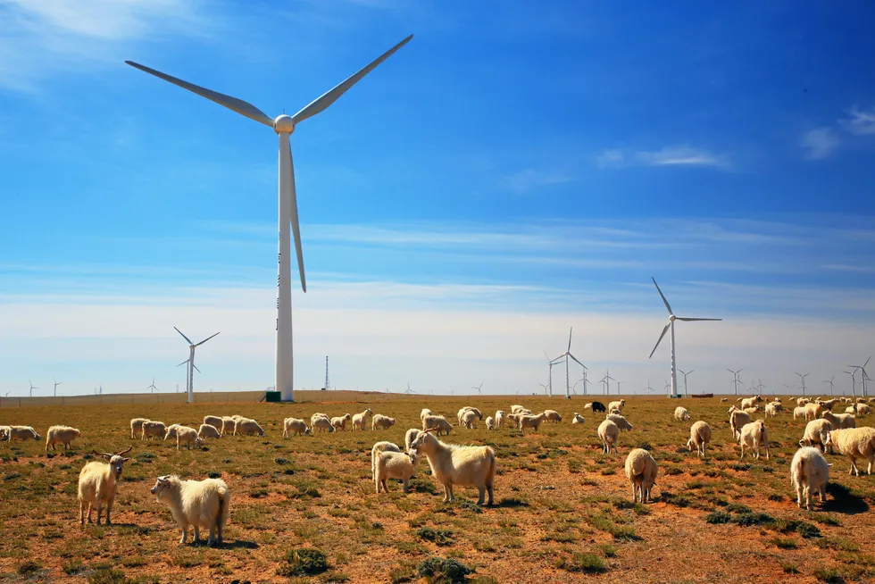 Inner Mongolia: a wind farm built by China’s wind energy specialist Goldwind.