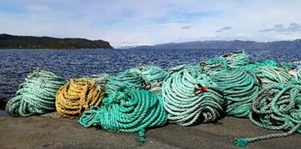 Kasserte taukveiler fra Grieg Seafood Finnmark.