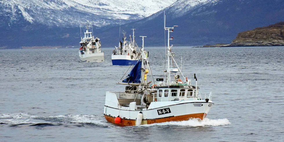 ENDRINGER: En ny gruppeinndeling for lukket gruppe i pelagisk fiske innebærer ikke kun en overgang fra hjemmelslengde til faktisk lengde, men også endringer i lengdeskillegrensene og etablering av flere regulerings- og strukturgrupper, påpeker Fiskeridirektoratet.