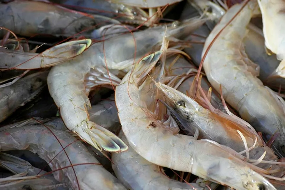 A representative with the The North Carolina Fisheries Association told a local news site consumers deserve to know the origin of their seafood.