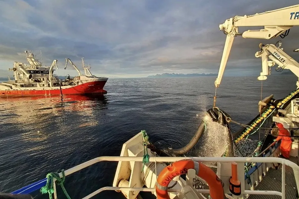 Fiskeridirektoratet vurderer nå tiltak som kan få fortgang i seifisket i nord. Her fra seinotfiske i Vest-Finnmark sommeren 2022.