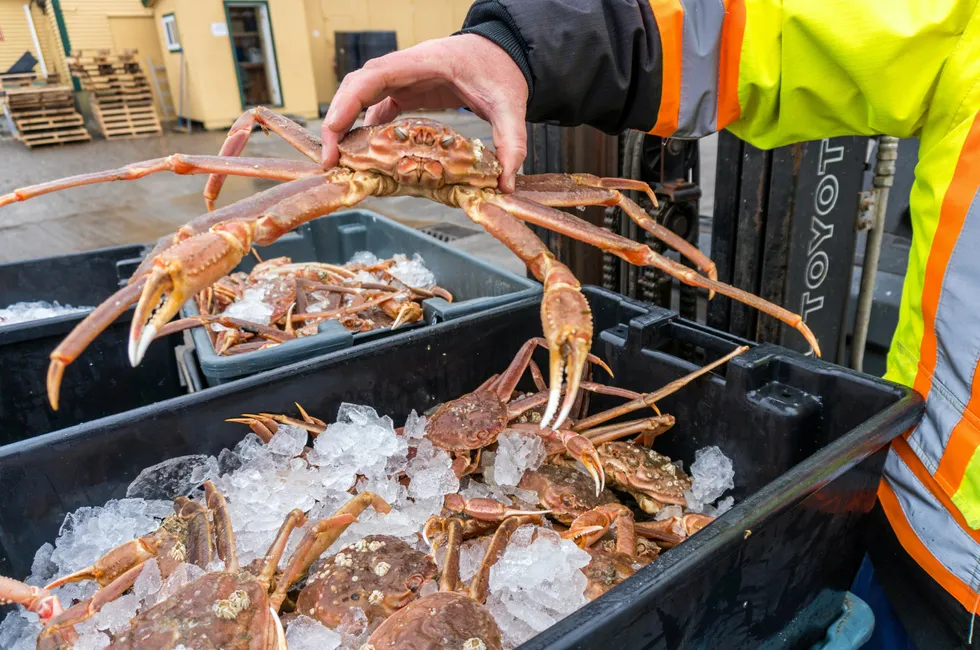 The provincial government's action is part of its effort to ensure Newfoundland and Labrador snow crab remains recognized as a high-quality product in global markets, officials said in a statement released Friday.