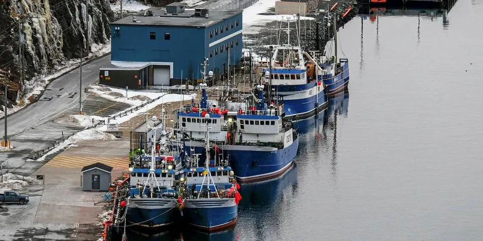 Newfoundland: Etter stoppen i torskefisket på Newfoundland har det vært vanskelig for mange å finne nytt arbeid, og oppdrett er et velkomment tilskudd.Arkivfoto: Shutterstock