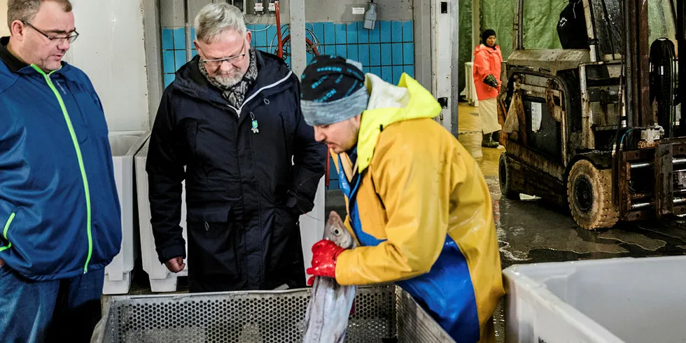 MARKEDET BORTE: Fiskeforedlingsbedriften og eksportøren Norfra har mistet 33 prosent av ferskfisksalget sitt i mars. Fra venstre daglig leder Odd Magne Nylund, styreleder og hovedaksjonær Steinar Eliassen i Nordvågen og fiskearbeider Ali Mohammidi.