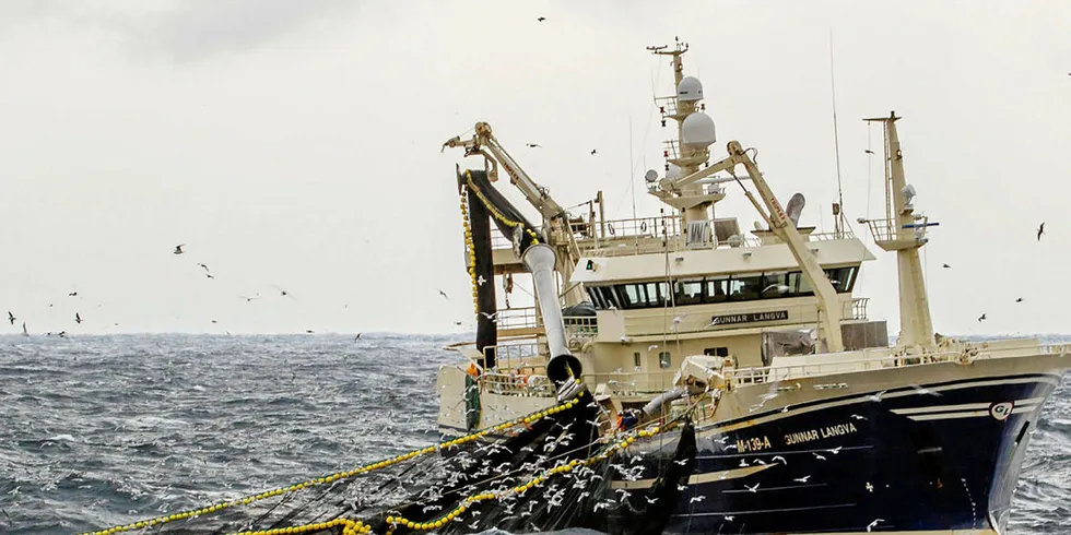 LODDE: Et årlig fiske på lodde vil tjene både fiskerne og samfunnet, mener Pelagisk Forening.