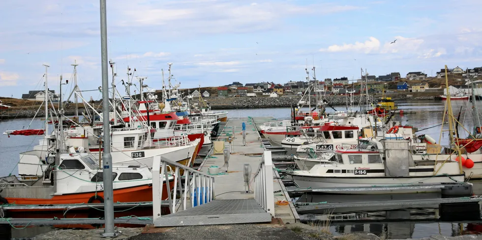 Fiskeflåten i Mehamn