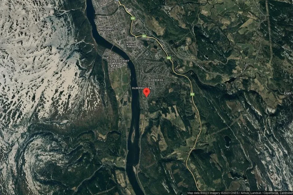 Området rundt Skogsvegen 36, Vefsn, Nordland