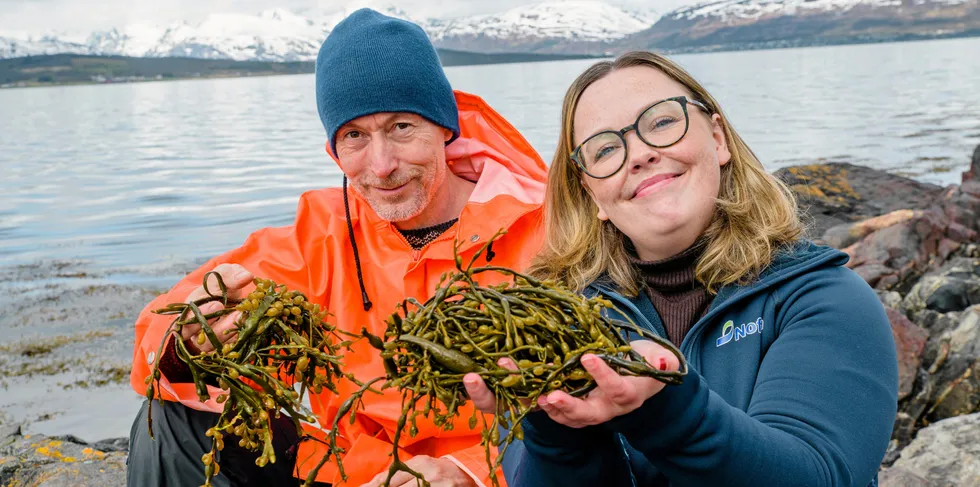 Forskerne Marte Jenssen og Kjetil Elvevoll med grisetang i fjæra.