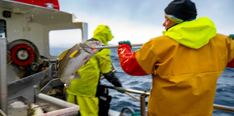 Det ser ut til at det kommer blir det «smalhals» i mange år framover for torskekvoten, skriver Jarl Hellesvik. Det kan blant annet gå utover linefiskere som Jens-Einar Bjørkås Johnsen på «Bjørkåsbuen» i Båtsfjord.