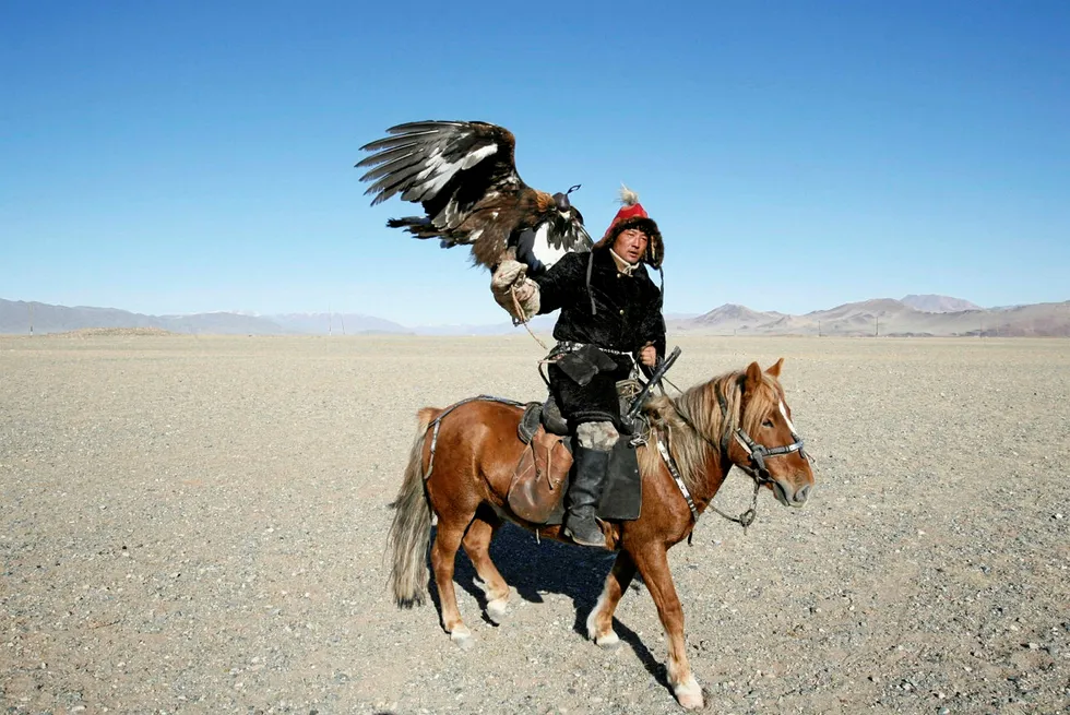 Flying in Mongolia: Elixir targets CBM