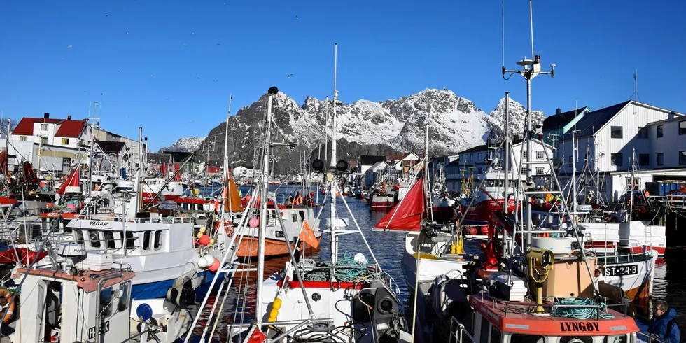 Mange sjarkfiskere startet optimistisk årets vinterfiske i kjente omgivelser i Lofoten. Men langt fra alle lyktes med sine planer her i Henningsvær.