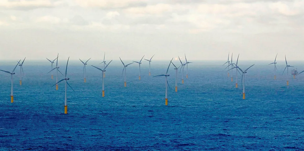 The Belwind offshore wind farm in the Belgian North Sea.