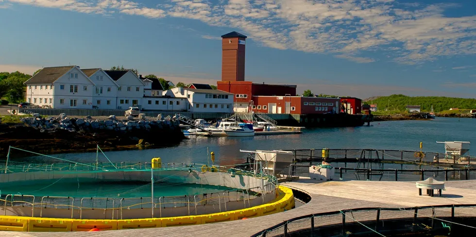 Brønnøy kommune fikk tillatelser til å legge til rette for mer oppdrett i kommunen. Sivilombudet ber nå om at det vedtaket vurderes på nytt.