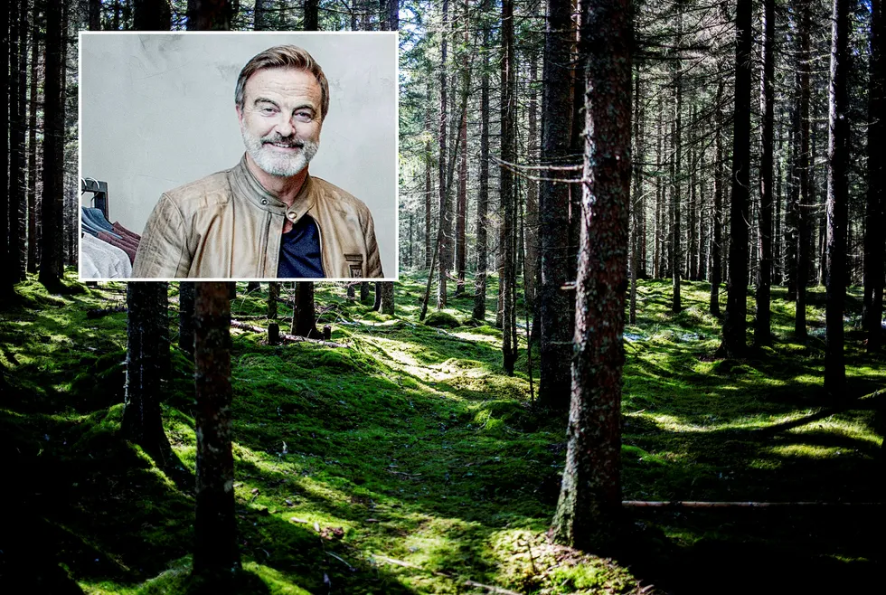Investor Ola Mæle og hans selskaper rår over 650.000 mål skog. Foto: Per Thrana