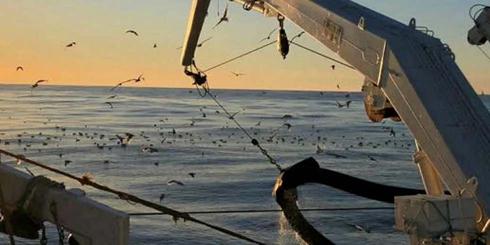 Her fisker Karmøy-tråleren «Vikingbank» lodde i Barentshavet 2018.