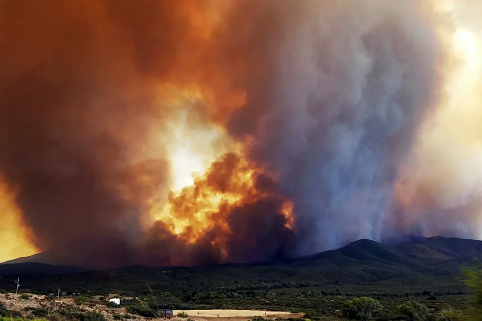 Stillbilde fra en video fra den store skogbrannen i Arizona. Foto: Jennifer Johnson/AP/NTB scanpix