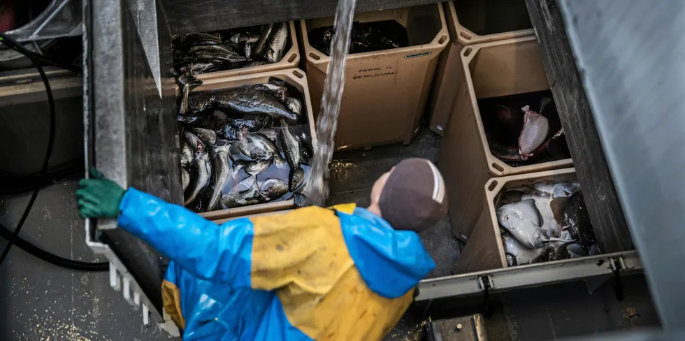 På to år har svært mye av fisken som landes i Norge mistet MSC-sertifisering.