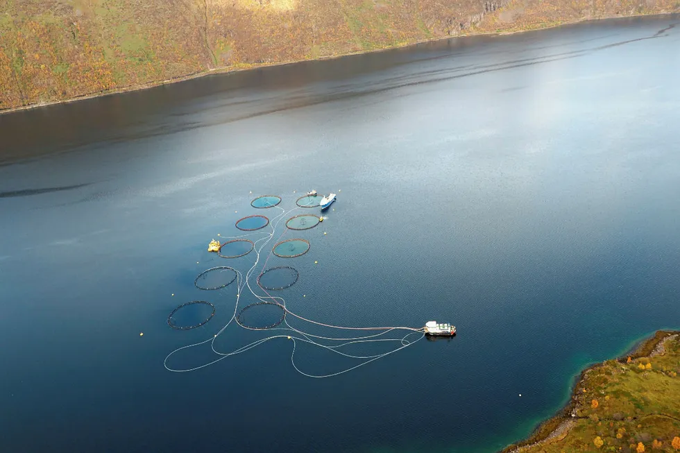 A salmon farming site at Grieg Seafood Finnmark in Northern Norway. The company reported an outbreak of the deadly infectious salmon anemia (ISA) virus last week.