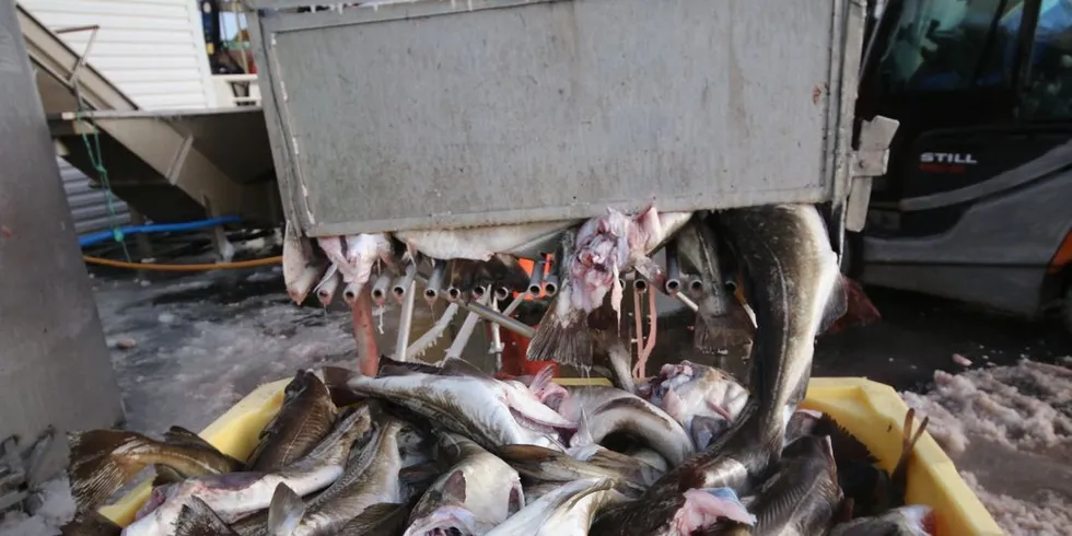 To ganger i løpet av noen få dager meldte både Fiskeridirektoratet og Kystvakten om lovbrudd. Illustrasjonsfoto: Arne Fenstad.