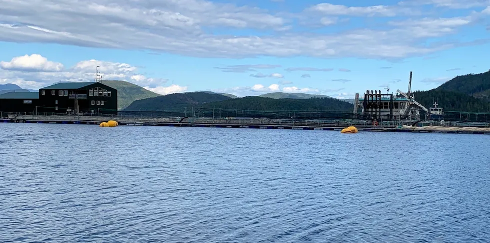 Cermaq Canada's Venture Point farm is set to close as part of the Canadian government's decision to cease netpen salmon farming in Discovery Islands by 2022.