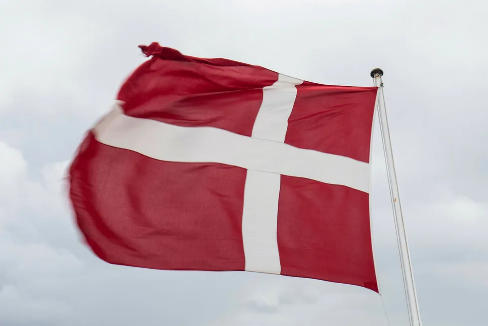 Mandag åpner Danmark grensen for reisende fra Norge, Island og Tyskland. Både utenlandske turister og dansker som kommer hjem vil bli tilbudt å frivillig la seg teste for koronasmitte ved grenseovergangene.