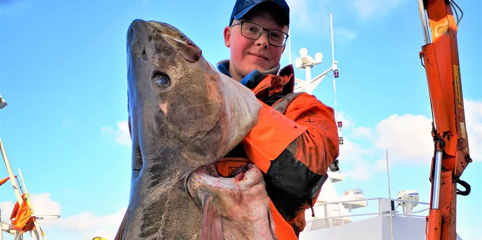 Ole-Martin Hansen (27) har kjøpt sjarken «Ravnøy» av brødrene Krane fra Skrova.