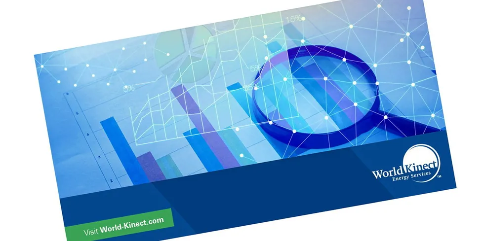 World Kinect Energy Services presenterer seg som en «risk management adviser» på nettsiden. Spørsmålet er om det norske datterselskaper har sikret sin egen risiko.