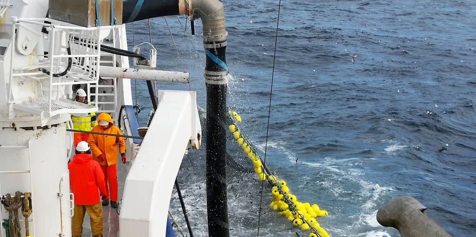 Det norske makrellfisket må i år foregå i norsk økonomisk sone eller internasjonalt farvann ettersom den norske flåten er utestengt fra å fiske i britisk sone.