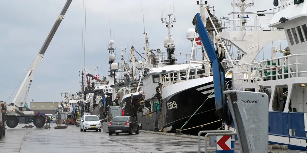 De danske pelagiske trålerne får mindre kvoter på tobis og øyepål i 2021, men får tilgang til britisk sone for å fiske sild og brisling.