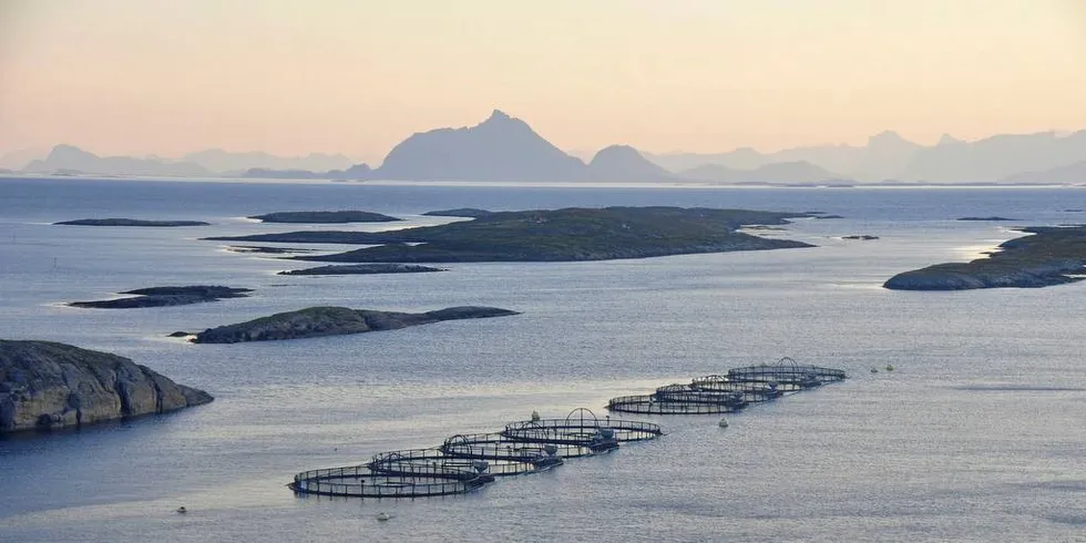 IKKE REDD: Oppdrettere på Lovund er ikke redd for oljesøl fra mulig oljeboring på Trænarevet. Derfor sier de ja til prøveboring, stikk i strid hva med mesteparten av sjømatnæringen mener.Foto: Bent-Are Jensen