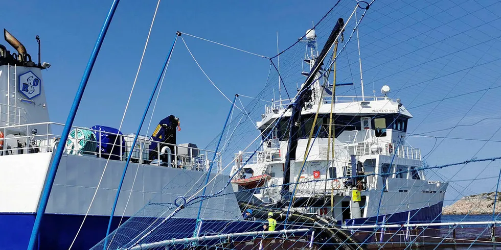 Norcod driver torskeproduksjon blant annet utenfor Frøya i Trøndelag.