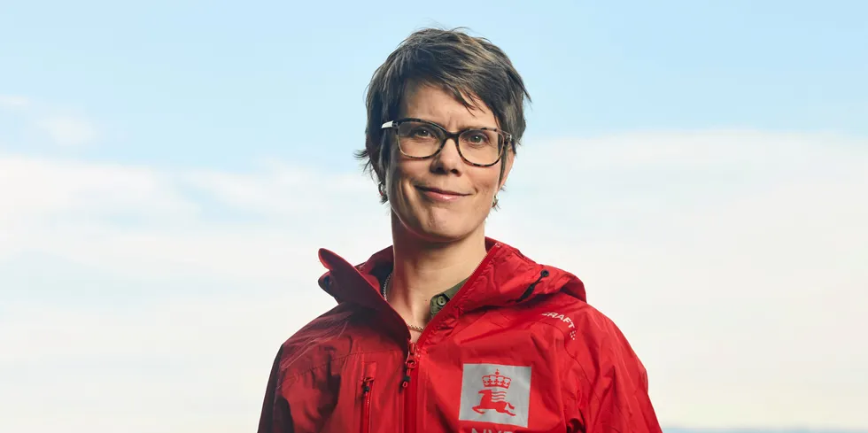 Anne Johanne Kråkenes, seksjonssjef for miljøtilsyn energianlegg, intensiverer jakten på selskaper som bygger energianlegg uten konsesjon.