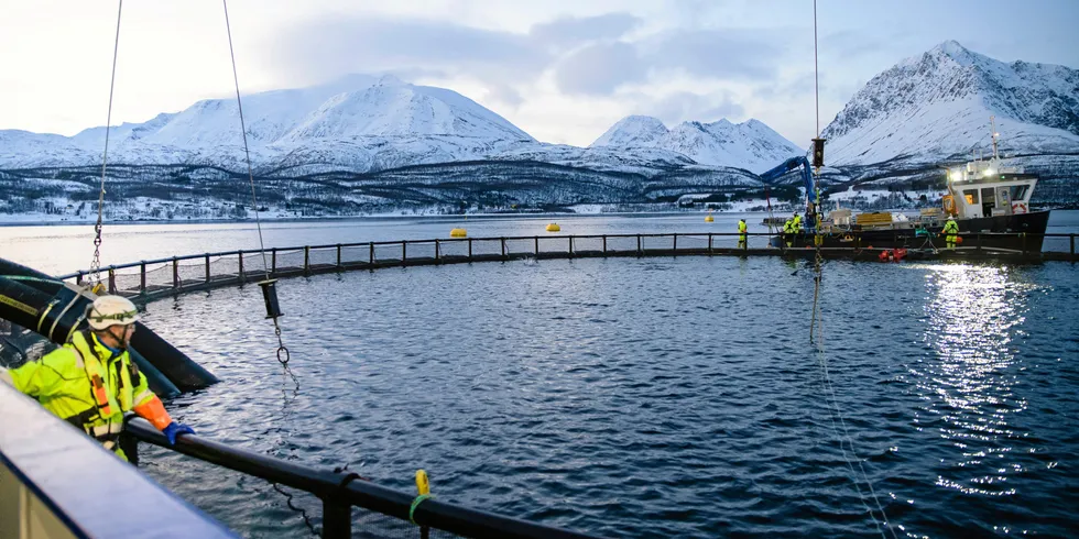 Havforskningsinstituttet har siden 2011 gitt ut en årlig risikorapport for norsk fiskeoppdrett med fokus på miljøeffekter og dyrevelferd. I dag publiserte instituttet Risikorapport norsk fiskeoppdrett 2021.