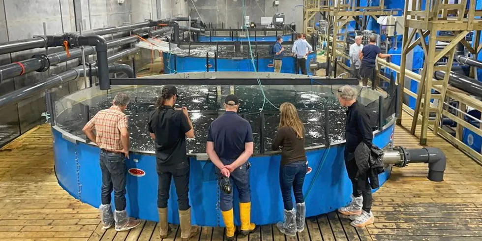 Hilary Franz tweeted on Aug. 11 she was excited to visit land-based salmon farmer Sustainable Blue in Atlantic Canada.