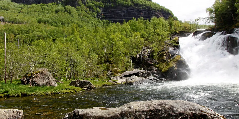 Leder utdanning 2019. Fra Samnanger i Hordaland.