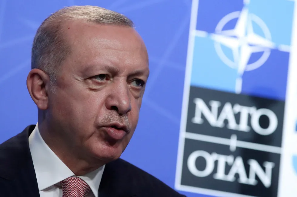Tyrkias president Erdogan har stått på kravene helt frem til Nato-toppmøtet i Madrid.