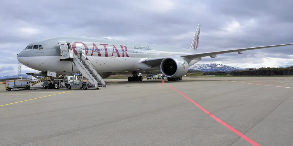 Laksefly i Bodø. En Boeing 777 uten passasjerer kan ta 60 tonn laks og fly direkte til Doha i Persiabukta.