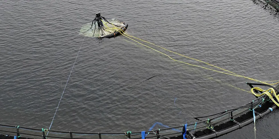 Atlantis Subsea Farming AS eies av SinkabergHansen, Akva Group og Egersund Net.