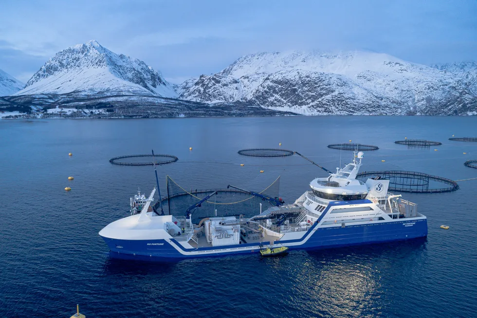 Sjømatselskapene investerer nå stort i teknologi som sikrer det grønne skifte.