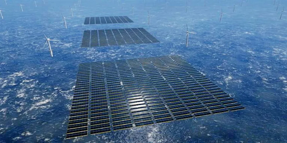 Rendering of floating solar blocks within offshore wind farm.